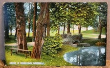 Bridge in Wilcox Park