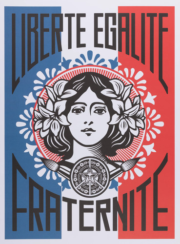 Shepard fairey freedom - fairey,
