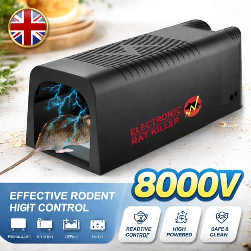 Mouse trap control - control, rat