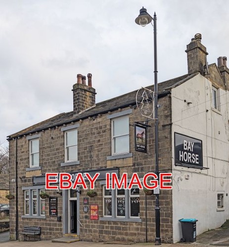 Photo bay horse farsley - horse,