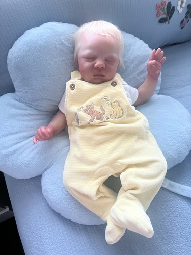 Reborn dominic please - reborn, read