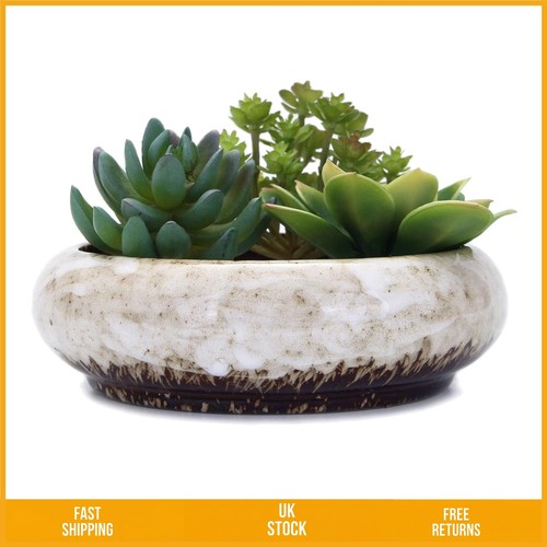 Elegant round shallow ceramic - elegant,