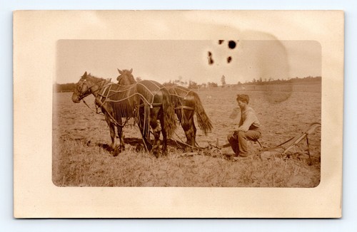 Rppc horse drawn plow farming - drawn,