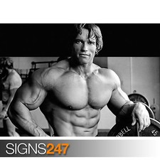 ARNOLD SCHWARZENEGGER poster