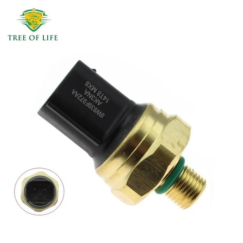 Fuel rail pressure - rail, switch