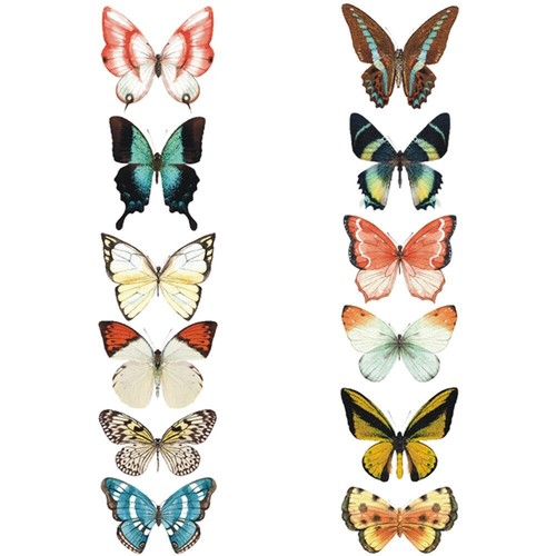 Window clings bird stickers - window,
