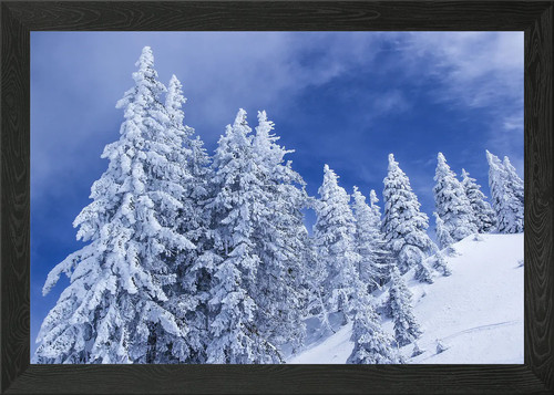 Frozen framed wall art - framed,