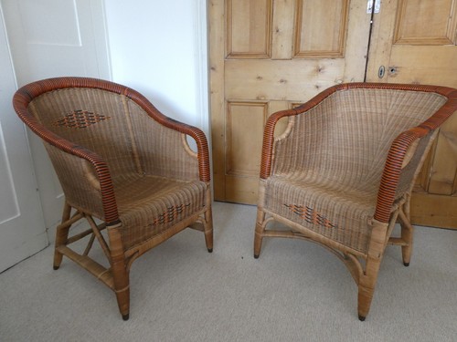 Rare sirrom cane 1920 male - sirrom,