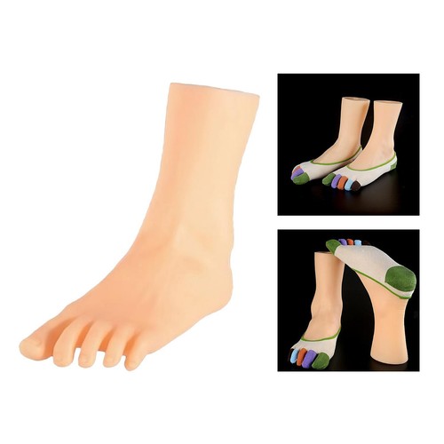 Mannequin foot lifelike adult - lifelike,