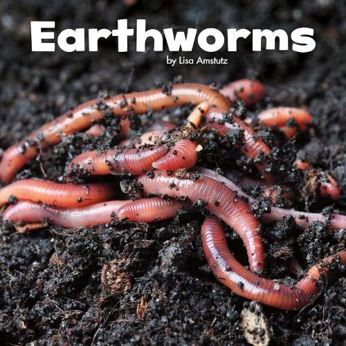 Earthworms - (little, critters)