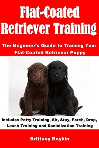 Flat coated retriever - flat-coated,