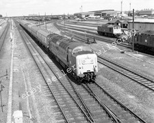 British Railway Negative - BR Deltic 55 019 Royal Highland Fusilier 1978 [U979]