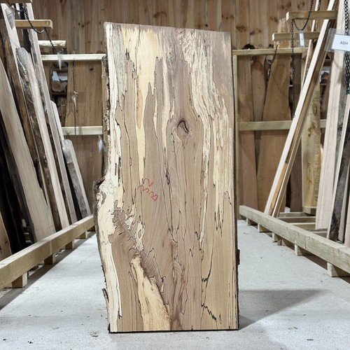 Spalted beech plank board - beech,
