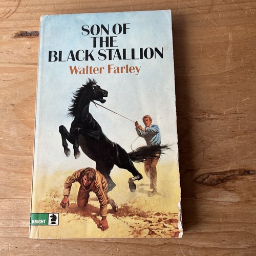 Son the black stallion - of,