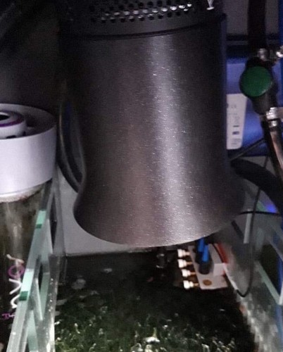 Light director for kessil - light,