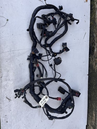Triumph 955 wiring loom - triumph,