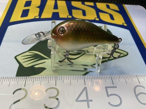 Custom painted crankbait dt - custom,