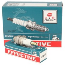 Box 10 Torch Spark Plugs