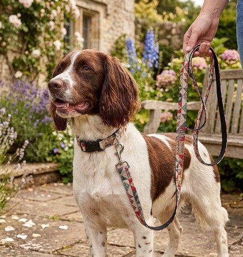 Artisan patchwork dog collar - artisan,