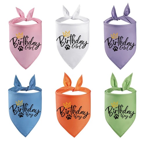 Dog birthday bandana pet - dog,