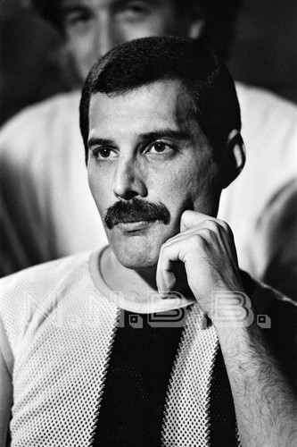 Freddie mercury queen x - freddie,