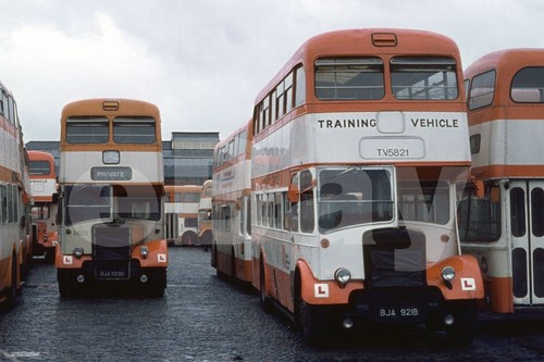 Bus photo greater manchester - bus,