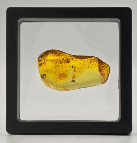Grams natural baltic amber - 4,5,