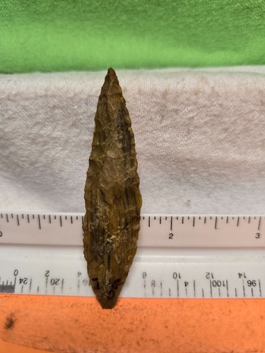 Rare cordilleran drill - cordilleran, /