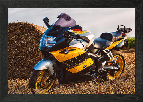 Bmw k1200s framed - bmw,