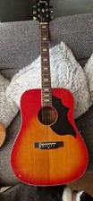 Rare ibanez acoustic concord