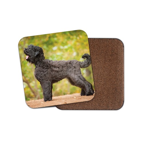 Black russian terrier - russian, coaster