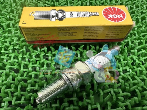 Ngk spark plugs in stock - in,