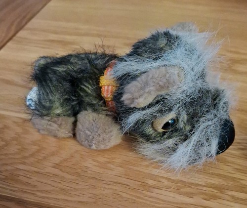 Genuine the dog - the,