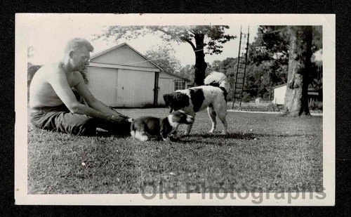 Shirless man puppy dog - shirless,