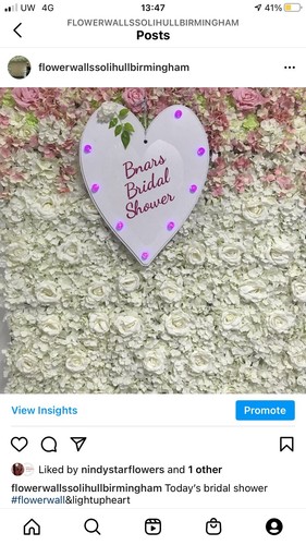 Flower wall hire birmingham - flower,