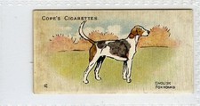 (Gd5576) Cope, Dogs of the World, (Scandinavian), #3 English Foxhound 1912 G