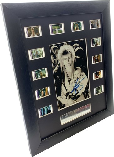 Labyrinth signed david bowie - labyrinth,