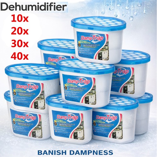 Dehumidifier interior damp - dehumidifier,