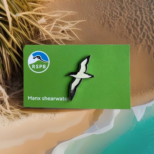 Rspb pin badge manx shearwater - badge,