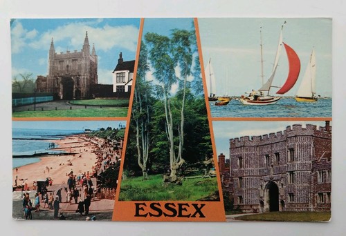 Vintage postcard essex - postcard,