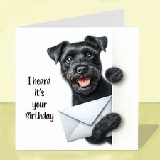 Patterdale Terrier Dog