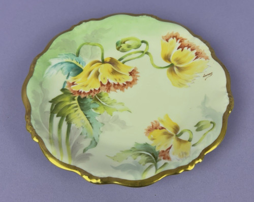 Bawo dotter elite limoges - bawo,
