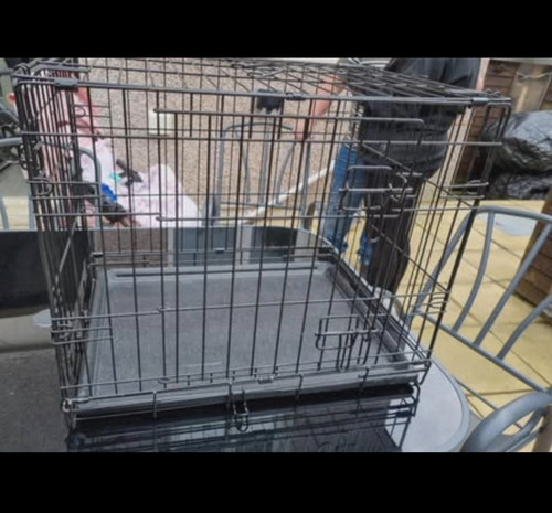 Folding steel wire dog - folding,