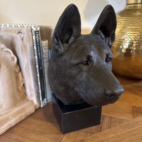 German shepherd dog alsatian - shepherd, dog,