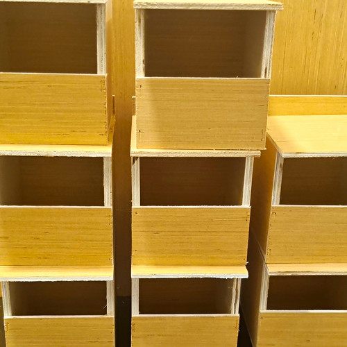 Pack finch nest box - of,