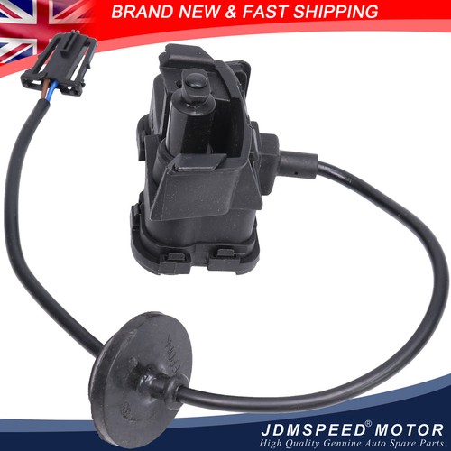 Fuel flap cap locking - cap, actuator