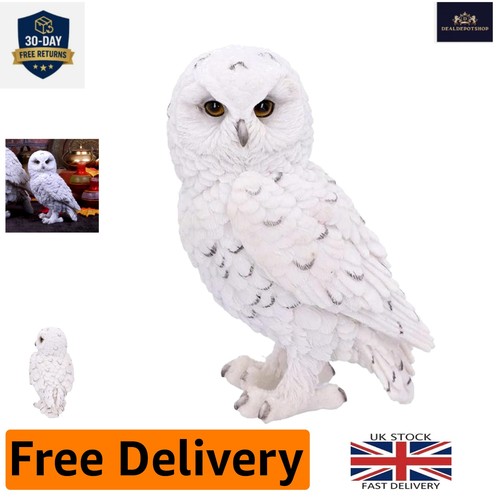 Beautifully detailed 3cm - beautifully, 13.3cm