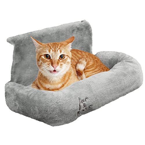 Cosy cat dog - pet, radiator