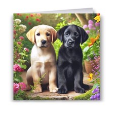 Labrador puppies birthday - labrador, card