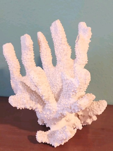 Specimen natural white - natural,